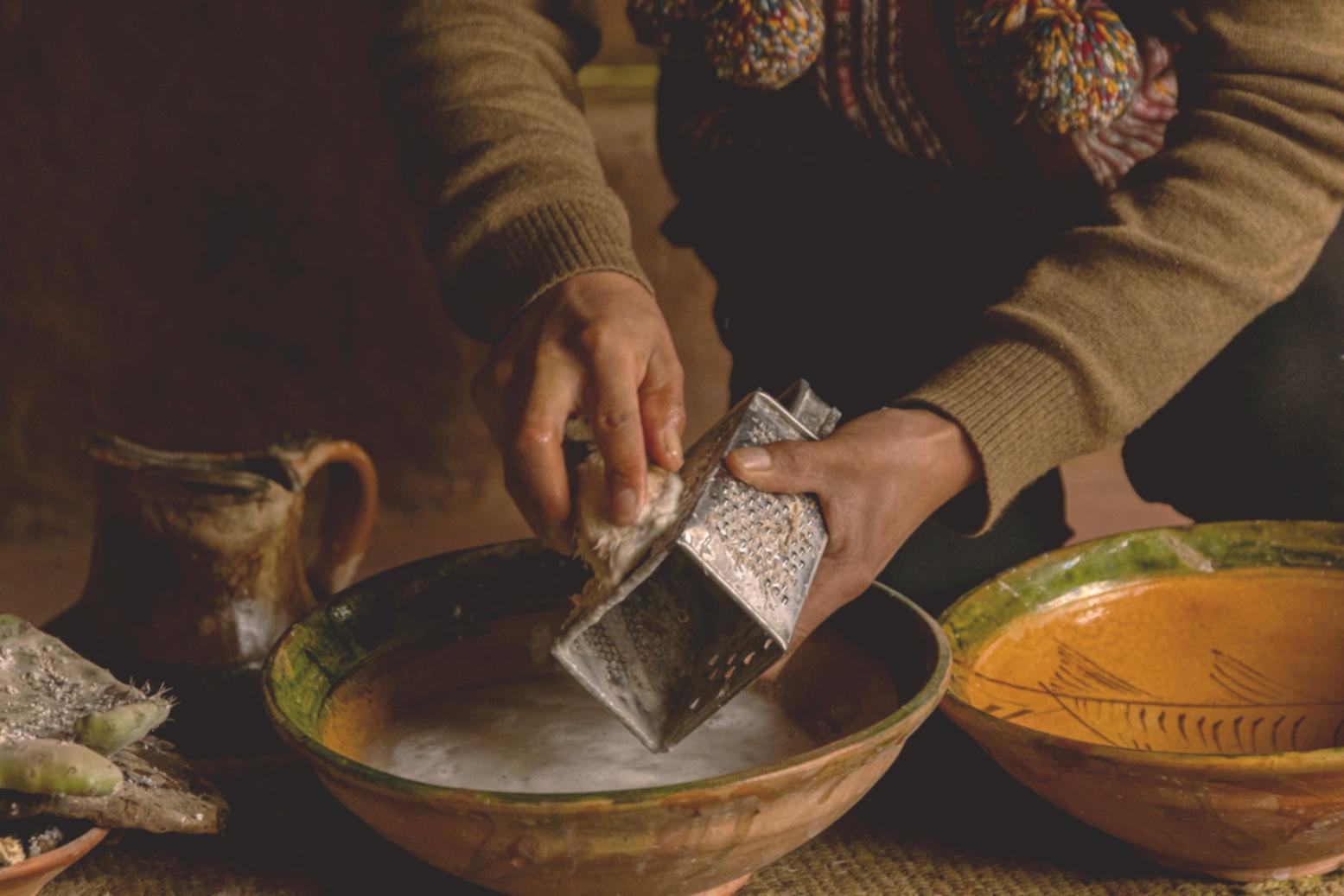 Hands-on seasonal cooking instruction in professional kitchen environment